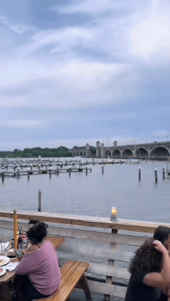 Maryland-Chesapeake Bay blue crab eggs-Joan