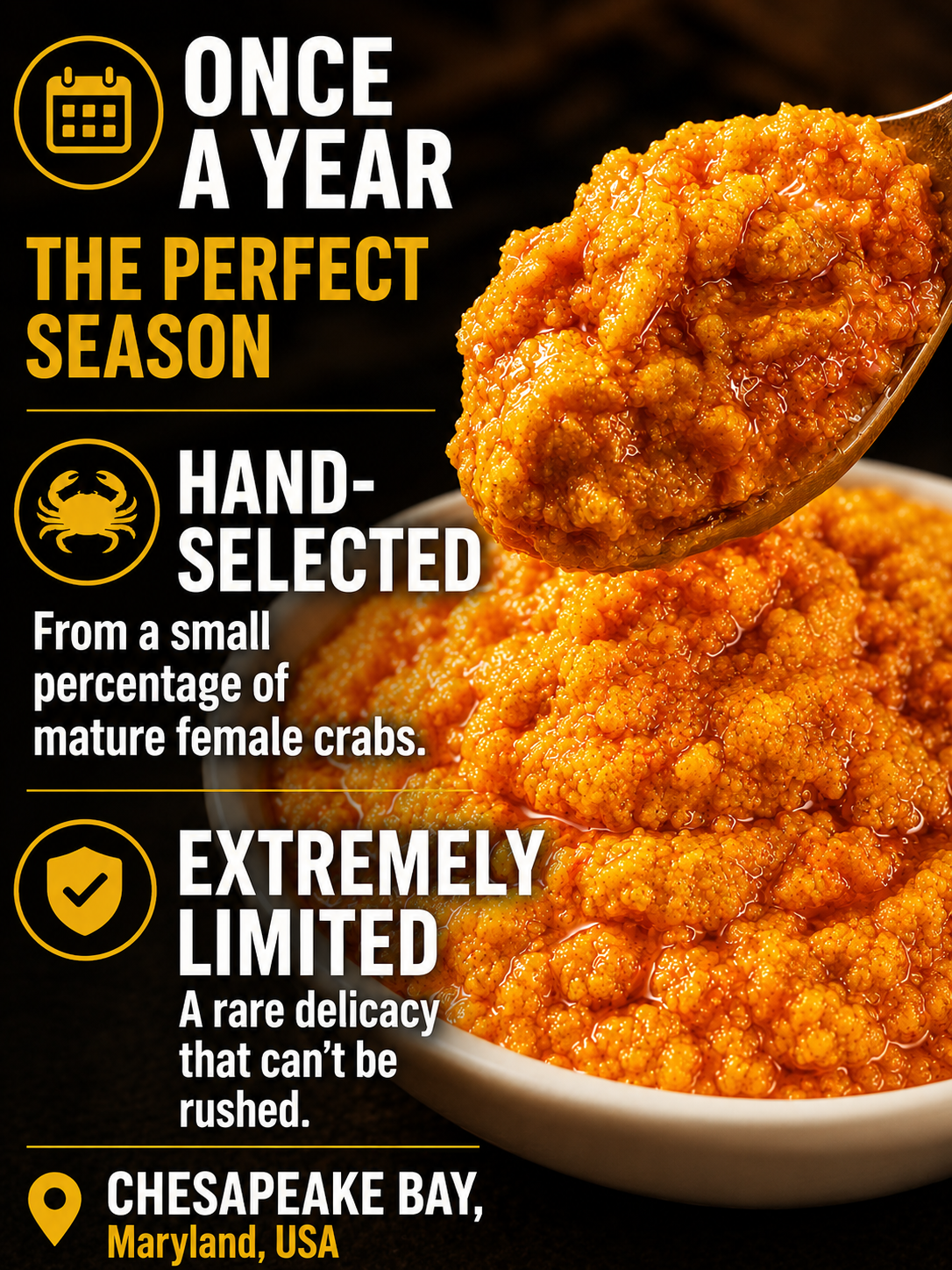 Maryland-Chesapeake Bay blue crab eggs-Joan