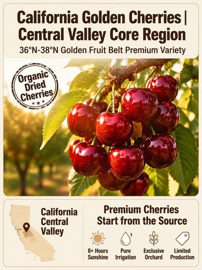 🍒Dried Sour Cherry Snacks, Natural Pitted Fruit Treats-Joan
