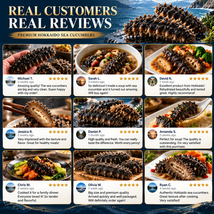 HOKKAIDO PREMIUM SEA CUCUMBER-Rex
