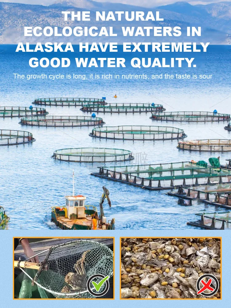 Alaskan Snow Crab Ready-to-EatCrispy Crab-Joan